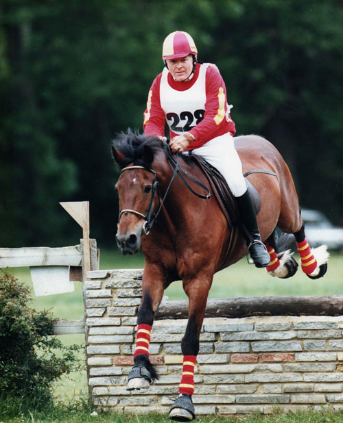Horse image